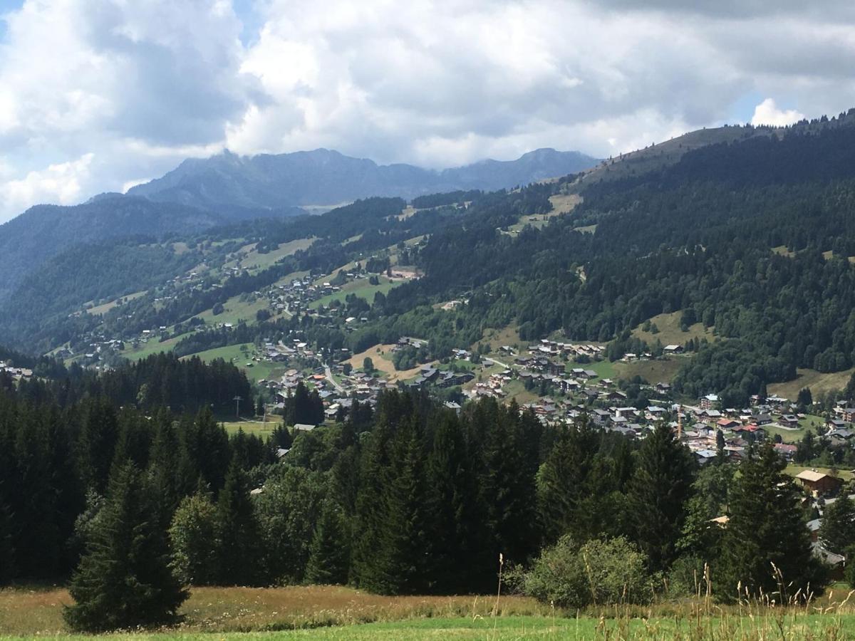 Apartment In Northern Alps With Skiing Nearby Les Gets Kültér fotó