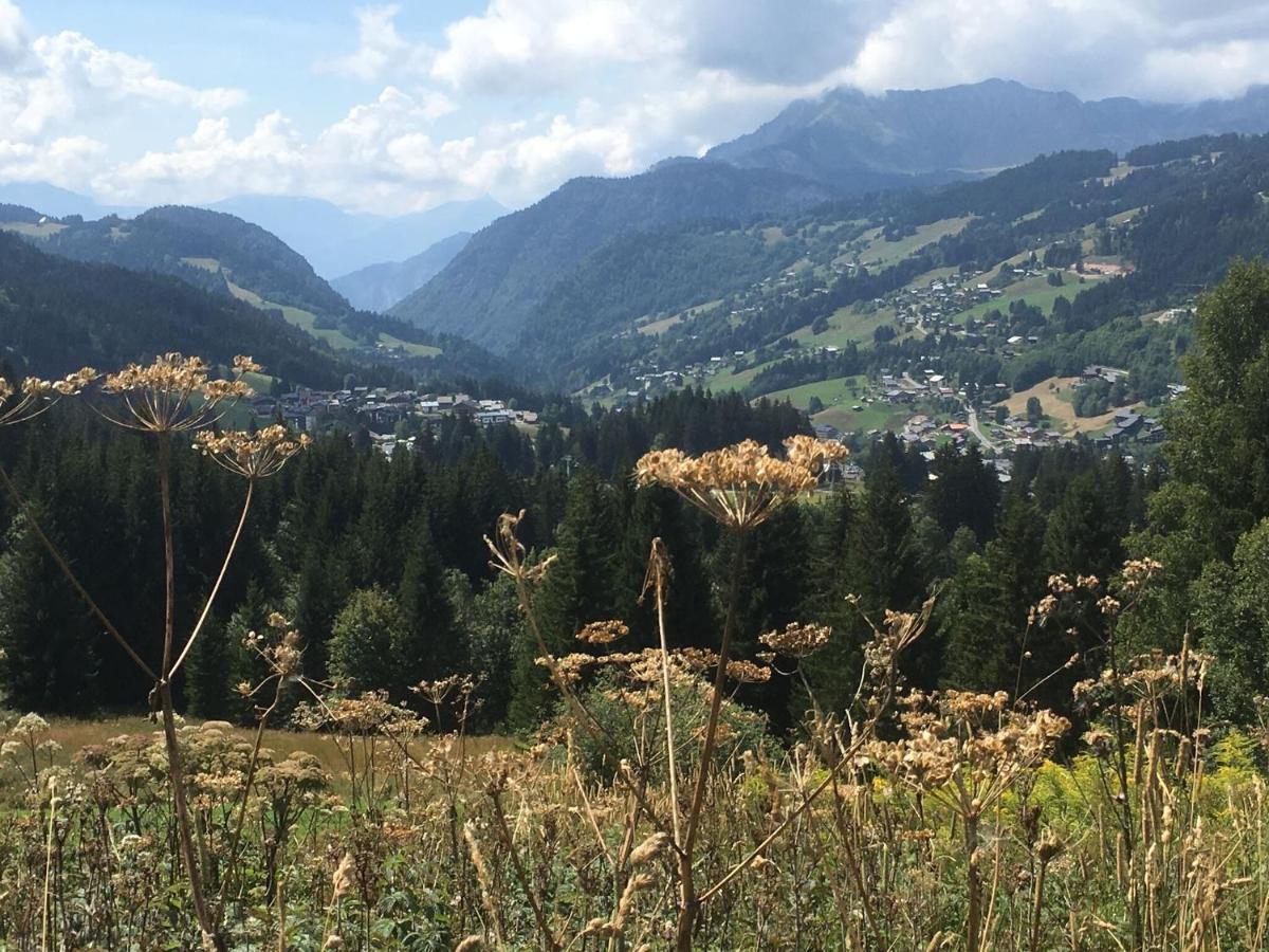 Apartment In Northern Alps With Skiing Nearby Les Gets Kültér fotó
