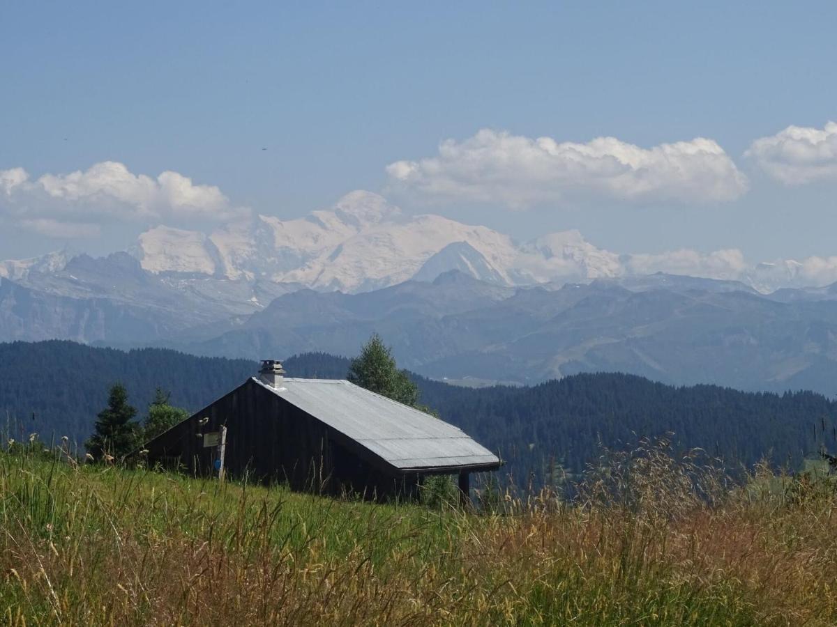 Apartment In Northern Alps With Skiing Nearby Les Gets Kültér fotó