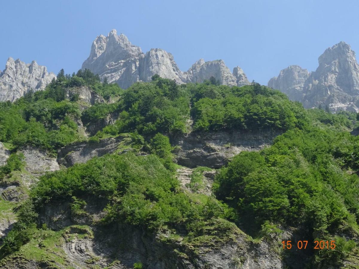 Apartment In Northern Alps With Skiing Nearby Les Gets Kültér fotó