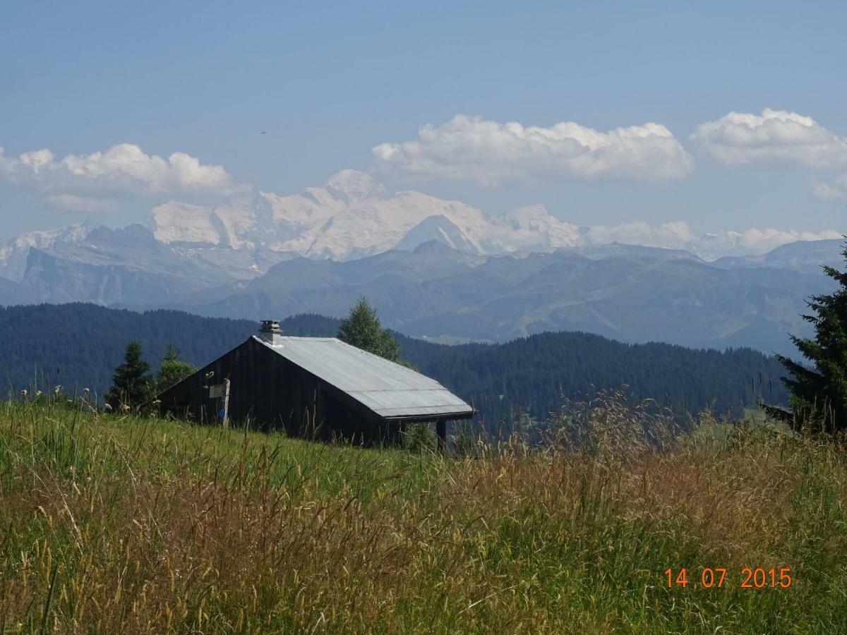 Apartment In Northern Alps With Skiing Nearby Les Gets Kültér fotó